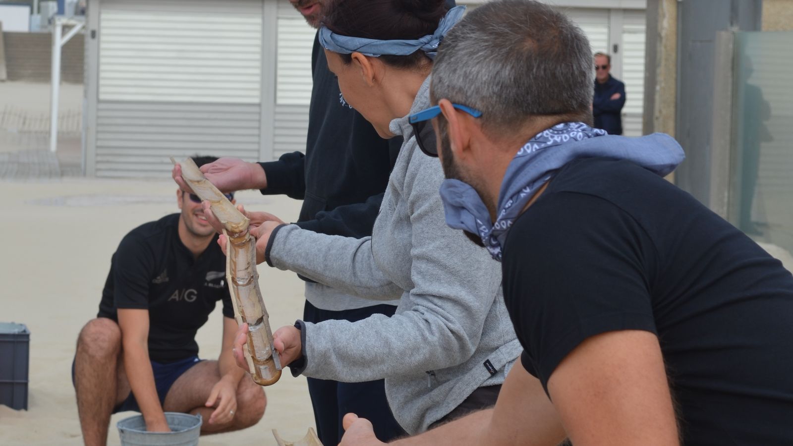 Team-building dans l' Yonne